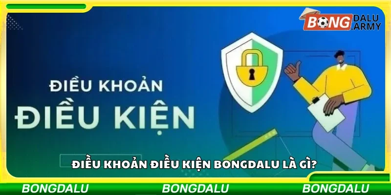 Điều khoản điều kiện Bongdalu là gì? 