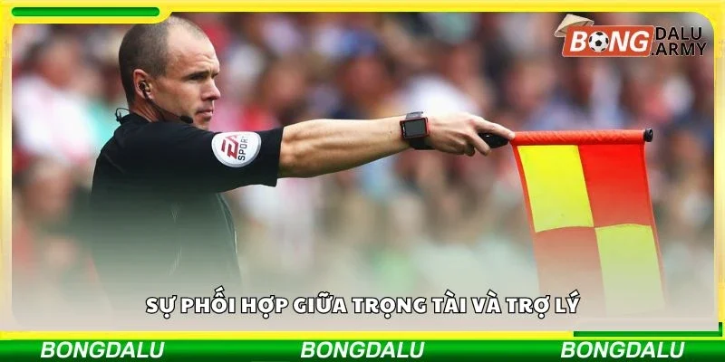 Sự phối hợp giữa trọng tài và trợ lý