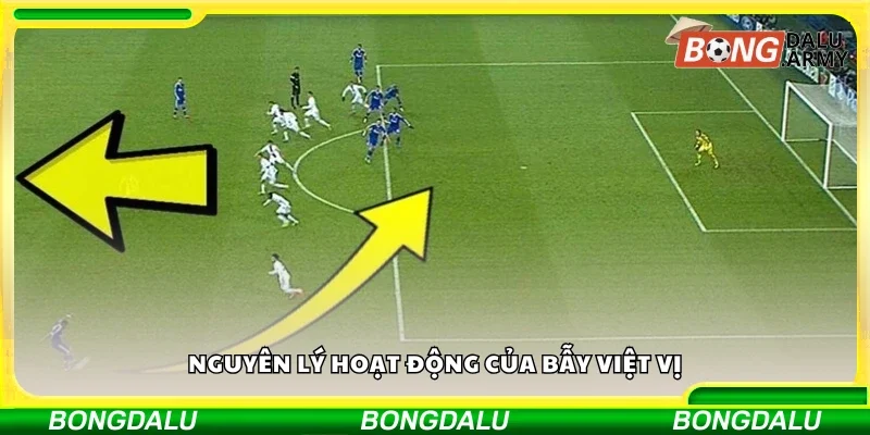Tìm hiểu nguyên lý hoạt động của bẫy việt vị