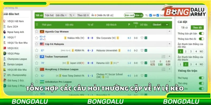 Tổng hợp các câu hỏi thường gặp về tỷ lệ kèo 