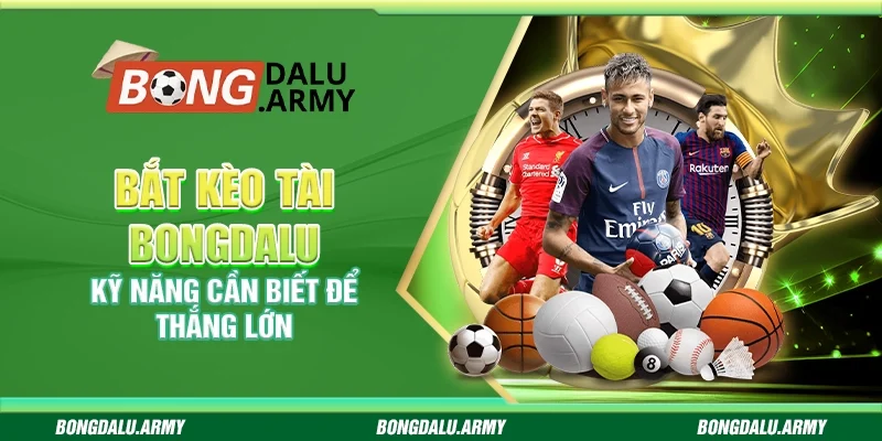 Bắt kèo Tài Bongdalu - Kỹ năng cần biết để thắng lớn