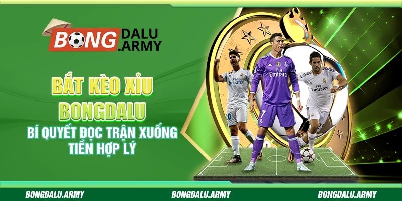 Bắt kèo Xỉu Bongdalu - Bí quyết đọc trận xuống tiền hợp lý