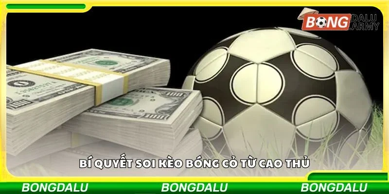 Bí quyết soi kèo bóng cỏ từ cao thủ
