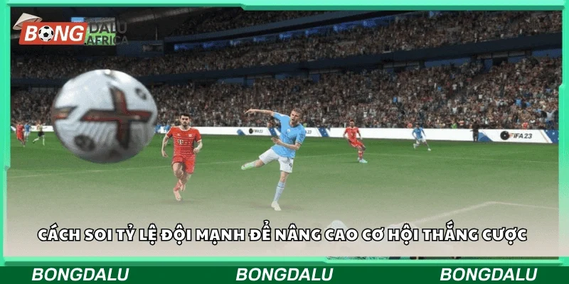 Cách soi tỷ lệ đội mạnh để nâng cao cơ hội thắng cược