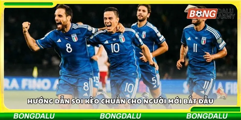 Hướng dẫn soi kèo chuẩn cho người mới bắt đầu