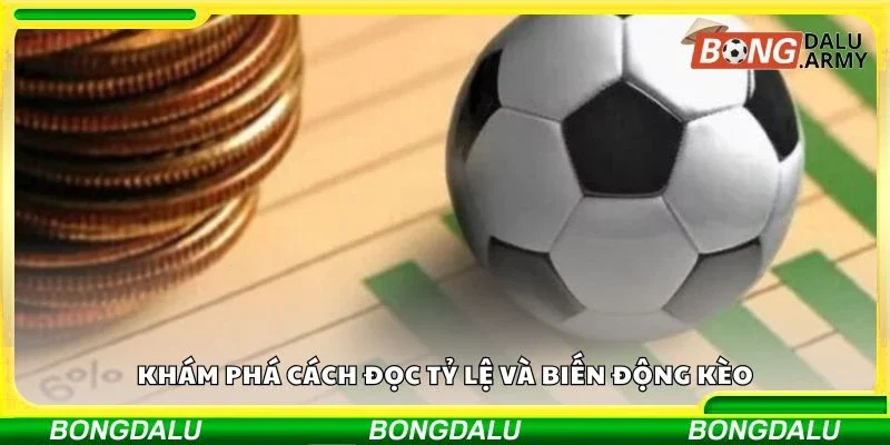 Khám phá cách đọc tỷ lệ và biến động kèo