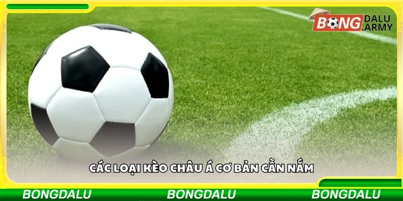 Một số loại kèo châu Á cơ bản cần nắm