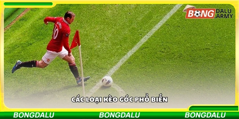 Một số loại kèo góc phổ biến