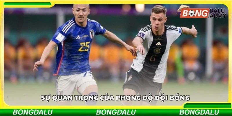 Sự quan trọng của phong độ đội bóng 