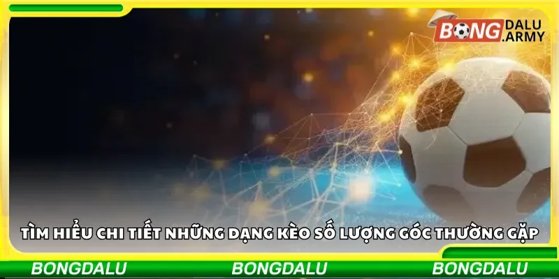 Tìm hiểu chi tiết những dạng kèo số lượng góc thường gặp