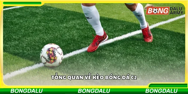 Khái quát về các loại kèo C2
