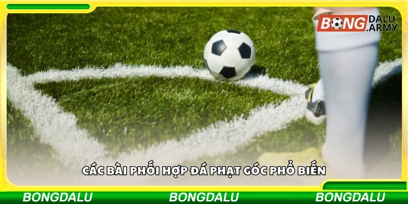 Vài bài phối hợp đá phạt góc