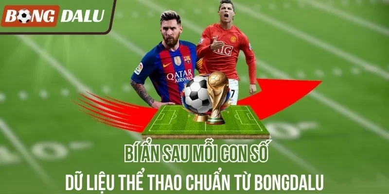 Áp dụng công nghệ trong thống kê, phân tích